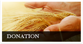 Donation